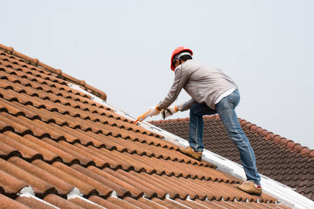 Best Roof Coating and Sealing  in Diand, MO