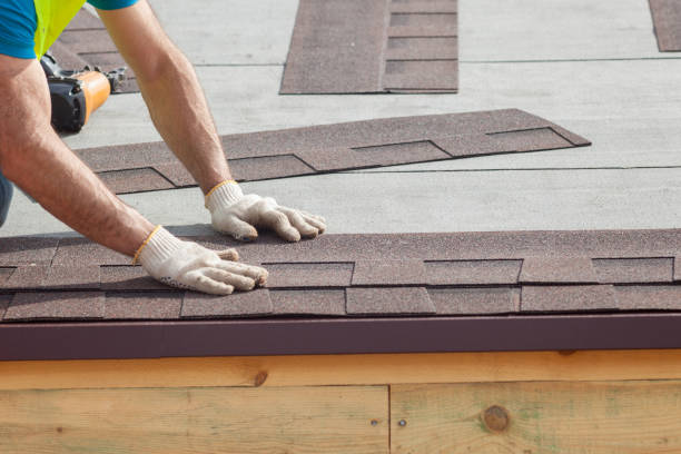 Best Skylight Installation and Repair  in Diand, MO