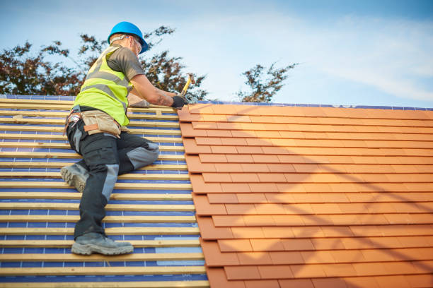 Best Roof Replacement  in Diand, MO